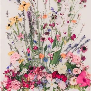 Meet your Posher, Xochitl